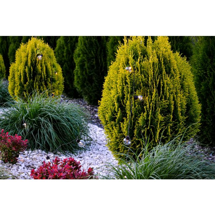 Solar-LED-Lichterkette mit Kugeln, 7,5 m – Warmweißes Licht (3000K) | Solar-Gartenbeleuchtung