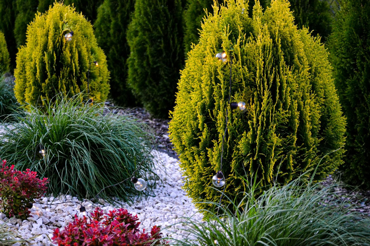 Gartenlichterkette – 30 LED-Kugeln – 10,6 m – Warmweiß 3000K – Wetterfest & Dekorativ