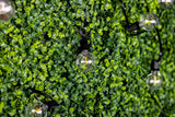 Outdoor Lichterkette 15,2m – 30x LED Kugeln 3000K mit Fernbedienung