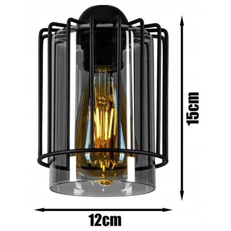 Hanglamp 2 lampen zwart metaal draadkap industrieel